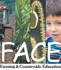 face