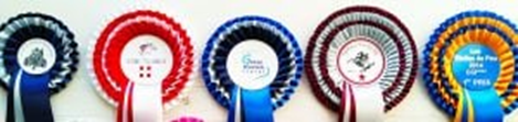 Darlow Rosettes Ltd