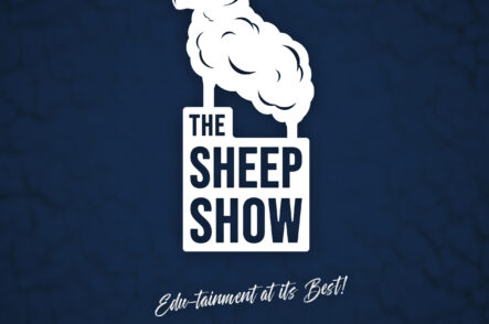 The Sheep Show